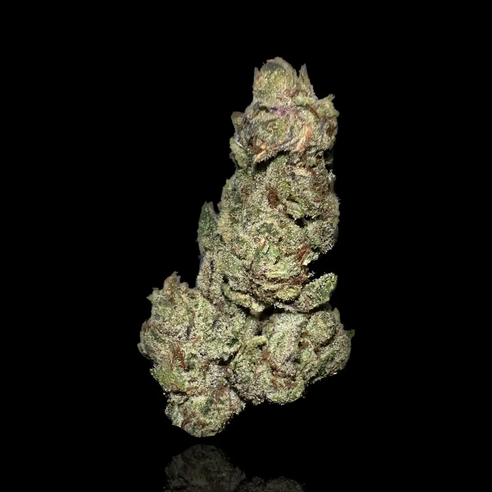 Limoncello Haze THCA Flower 3.5g - Yaga 1